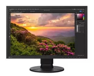 Eizo ColorEdge CS2400S - Monitory - miniaturka - grafika 1